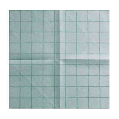 TOVAGLIOLO AIRLAID CROISET 40X40 PZ50 VERDE
