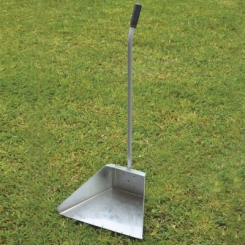 ALZAIMMONDIZIE ZINCO